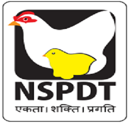 NSPDT